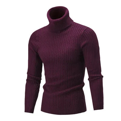 Men's High-Neck Pullover Sweater Thalorn TL177